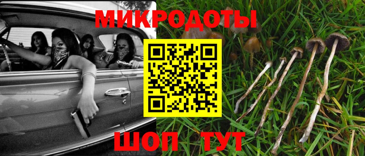 как найти закладки  Вход с VPN  Усть-Джегута  Галлюциногенные грибы прущие грибы  Псилоцибиновые грибы мухоморы 